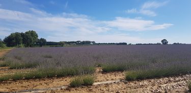 Séminaire au Mas Saint Rémy