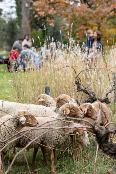 Séminaire au Mas Saint Rémy