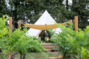 Séminaire au Mas Saint Rémy