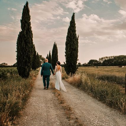 Allée mas Saint Rémy