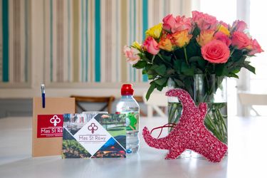 Séminaire au Mas Saint Rémy