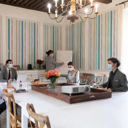 Séminaire au Mas Saint Rémy