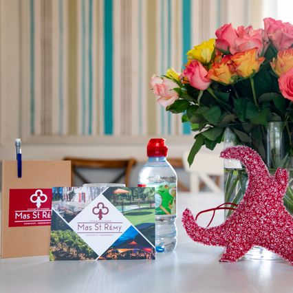 Séminaire au Mas Saint Rémy