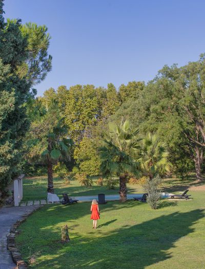 Vue du balcon sur la piscine et le jardin