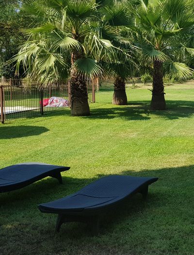 La piscine du Mas St Rémy