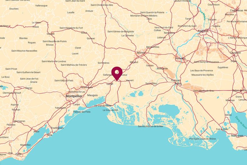 Carte Mas Saint Rémy